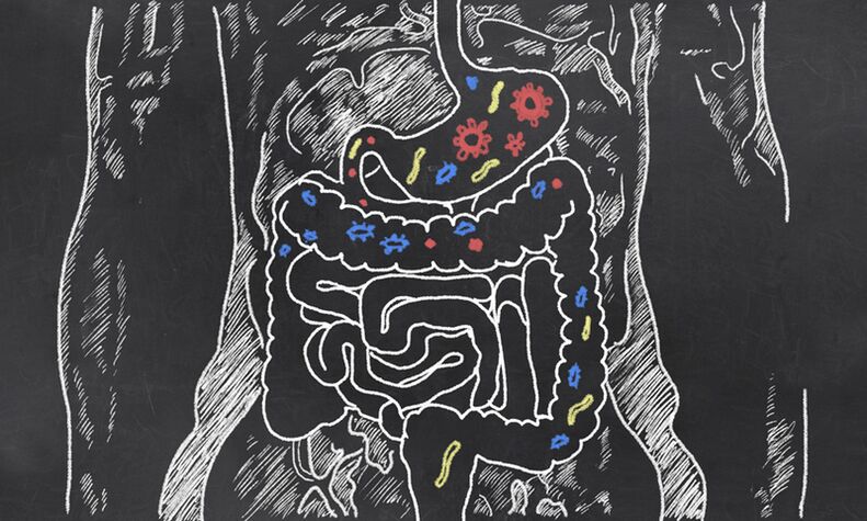 Paraziti u gastrointestinalnom traktu osobe
