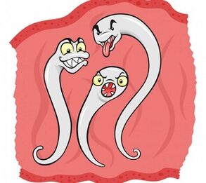 koji paraziti mogu živjeti u ljudskom tijelu